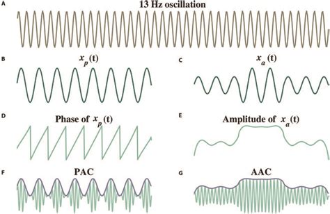 Cross Frequency Coupling Could Advance Understanding Of Neural Diseased