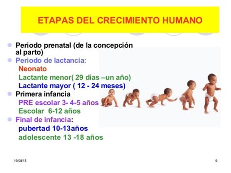 Crecimiento Del Niño