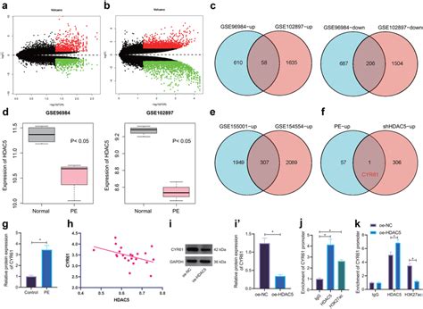 Overexpression Of Hdac5 Inhibits Cyr61 Expression By Reducing H3k27