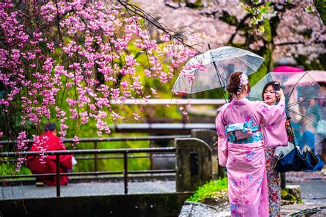 Is Hanami Actually Fun? - GaijinPot