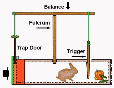 Medieval Dynasty How To Set A Rabbit Trap - Image to u