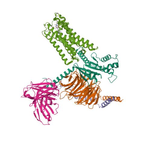 Rcsb Pdb 6vms Structure Of A D2 Dopamine Receptor G Protein Complex