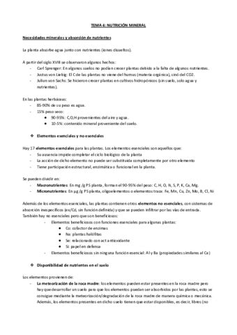 Tema Nutricion Mineral Pdf