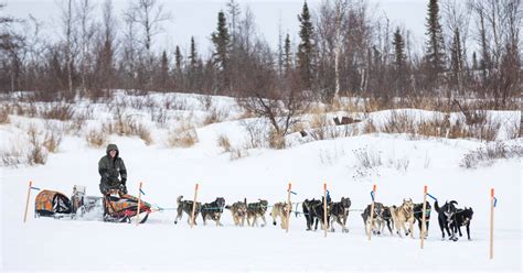 From best checkpoint to rookie of the year, here are the Iditarod ...