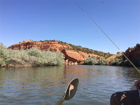 Big Horn River Float Trips - Feathered Hook