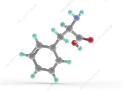 Phenylalanine Molecule Stock Image F005 9095 Science Photo Library