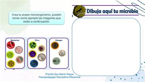 Cuadernillo De Ciencias Naturales Profe Social