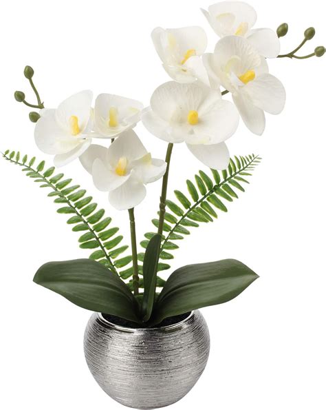 Amazon.com: Briful Fake Orchid Flowers 13'' White Orchids Artificial ...