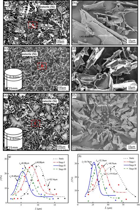 Sem Images Of Al Si Eutectic Structure In Al Si Alloy A