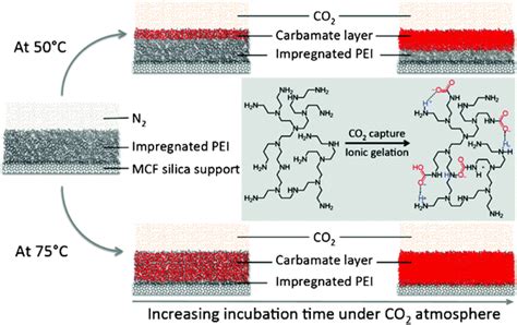 Polyethylenimine Impregnated Siliceous Mesocellular Foam Particles As