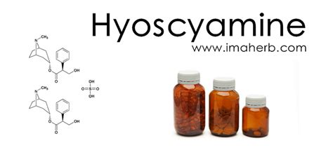 Hyoscyamine From Belladonna Herb Extract