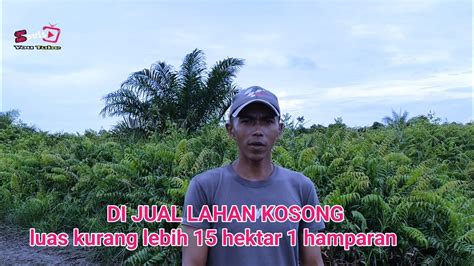 Jual Lahan Kosong Luas Hektar Harga Per Hektar Juta Saja Youtube