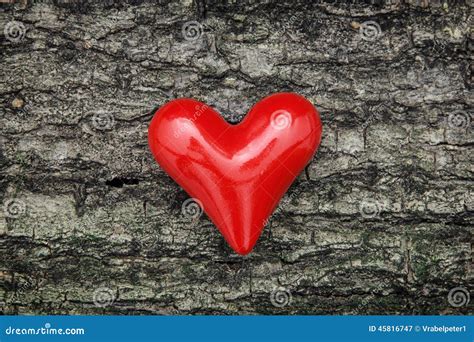 Red Heart On The Tree Bark Stock Image Image Of Bark 45816747