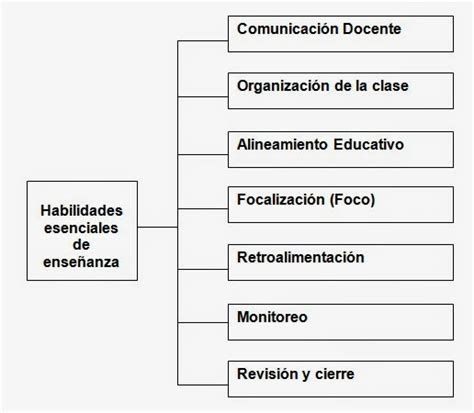 Maestros De Vanguardia Desarrollo De Habilidades Docentes