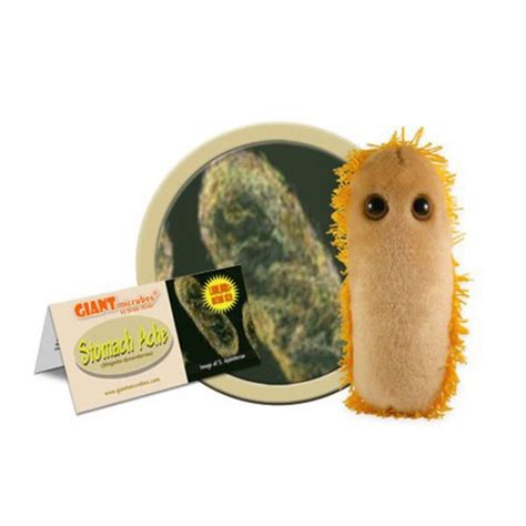 Stomach Ache Microbe Plush – American Museum of Science and Energy