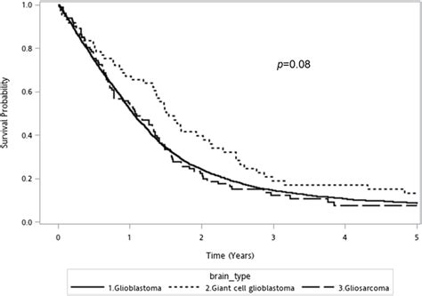 Kaplan Meier Overall Survival Curve For Conventional Glioblastoma Download Scientific