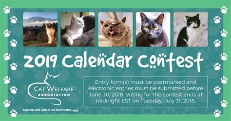 Cat Welfare 2019 Calendar Contest - 360 Photo Contest