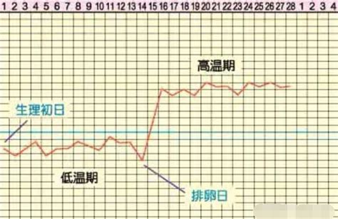 女人「排卵」時，身體可能出現這3個「變化」，備孕女人要了解！ 每日頭條