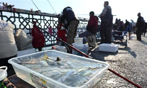 Fishing Enthusiasts Fish In Istanbul Turkey Global Times