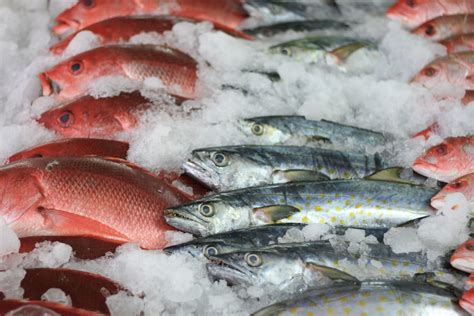 Actualizar Imagen Pescados Y Mariscos En Mexico Abzlocal Mx