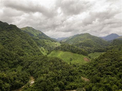 Aerial View Of The Lush Green Rain Forest Mountain Stock Photo Image