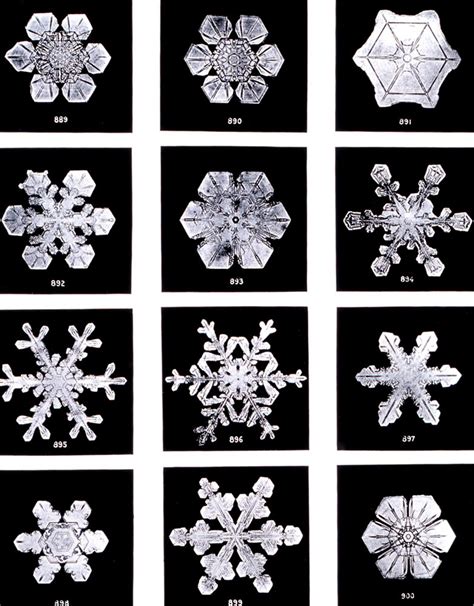 Comment Les Flocons De Neige Se Forment Ils Simplyscience