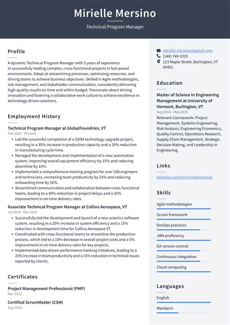 Top 18 Technical Program Manager Resume Objective Examples