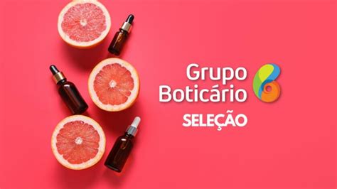 Oportunidade Home Office No Grupo Botic Rio Empresa Oferece Quase