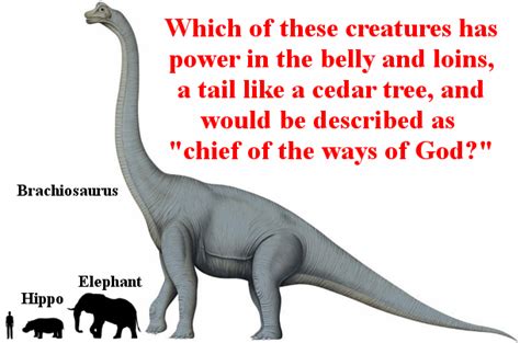 Dinosaurs In The Bible Biblical Foundations