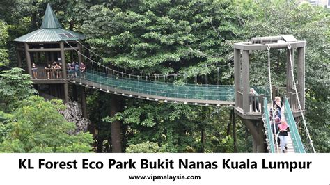 Kl Forest Eco Park Bukit Nanas Kuala Lumpur Vipmalaysia Best