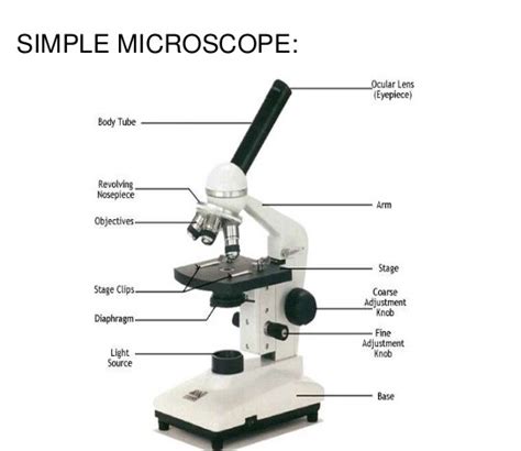 Microscope Diaphragm Function