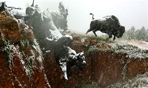 Tatanka: Story of the Bison | Our Work | Content