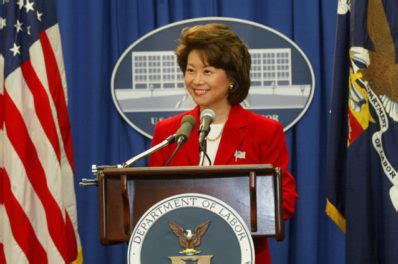 Senate Confirms Elaine Chao As Secretary of Transportation - The Winglet