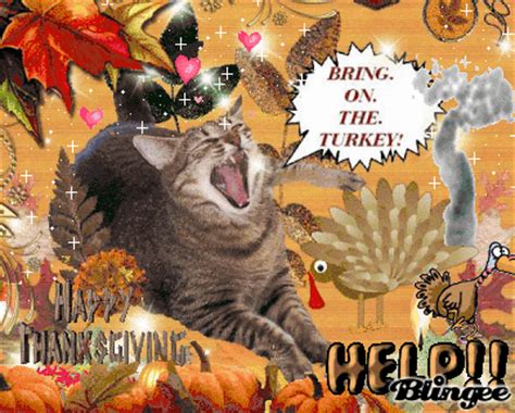 Thanksgiving Cat Picture #135531658 | Blingee.com