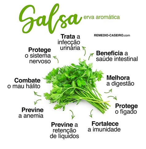 Salsa 9 benefícios e como usar Dicas de saúde Saúde e nutrição