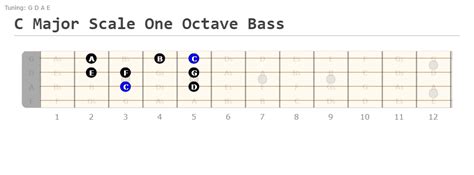 All 7 Bass Modes Made Easy A Comprehensive Tutorial