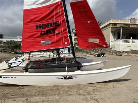 Hobie Cat 16 For Sale Discount Changeyourwindows