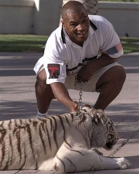 Mike Tyson with his white bengal tiger. | Mike tyson, Mike tyson boxing ...