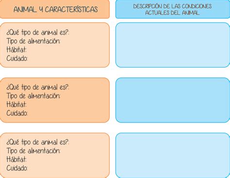 Cuánto cuesta segregar una vivienda Cuál es el costo de dividir una