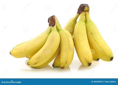 Fresh Bunch Of Mini Bananas Stock Photo Image Of Food Tropical 40298594