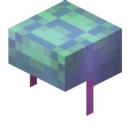 Turtle Shell – Minecraft Wiki