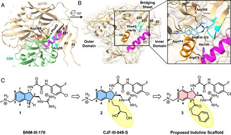 Indoline Cd4 Mimetic Compounds Mediate Potent And Broad Hiv 1