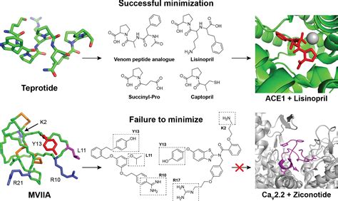 Frontiers Antimicrobial Peptides Classification Design