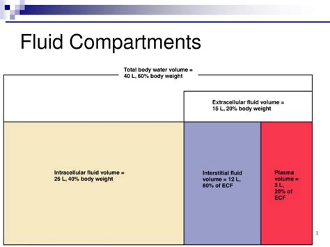 Body Fluid Compartments Diagram Wpyare