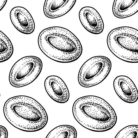 Red Blood Cells Seamless Pattern Hand Drawn Erythrocytes Scientific