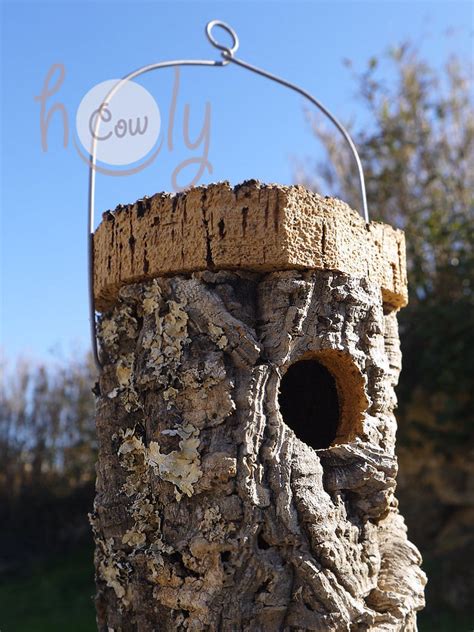 How To Choose Right Birdhouse To Attract Nesting Birds