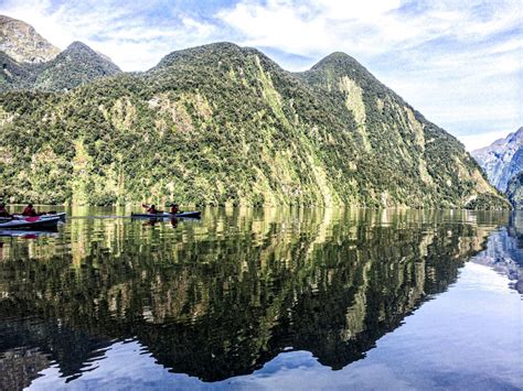 Kayaking Trips in Fiordland - Visit Fiordland