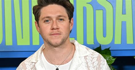 Niall Horan Reveals Reason He Hates Jamie Dornan Irish Star