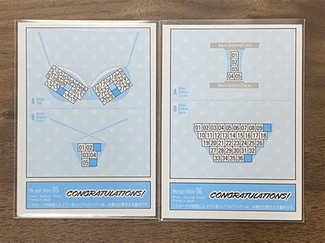Hit S Umi Shinonome Trading Card Vol Pin Spot Bikini Card Set Of Japan Idol Ebay