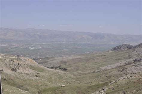 Bekaa Valley - Livius